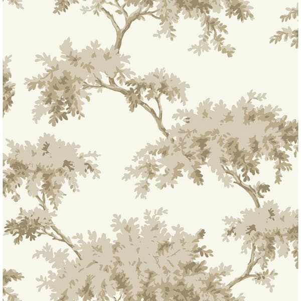 NuWallpaper Beige Taupe Alder Peel and Stick Wallpaper Sample