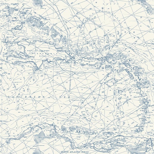 Charts Navy Nautical Chart Matte Paper Pre-Pasted Wallpaper Sample