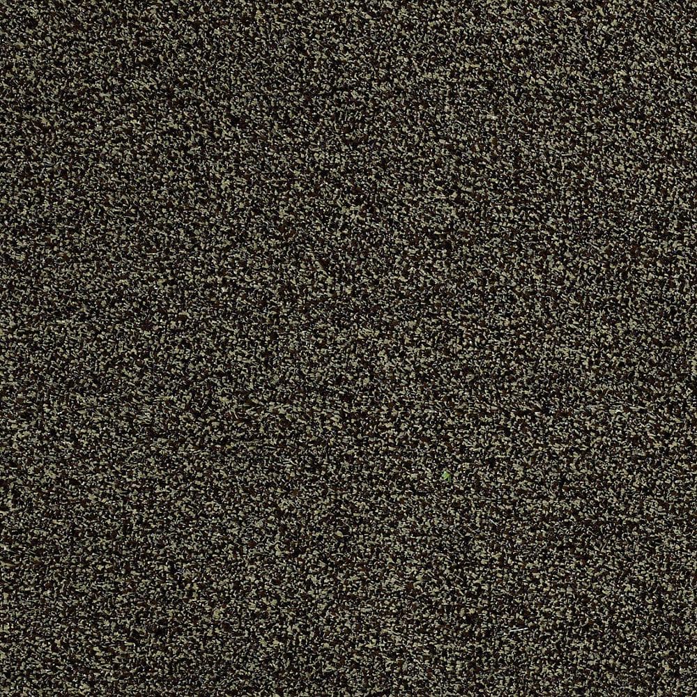 8 in. x 8 in. Texture Carpet Sample - Toulon - Color Cobblestone price history on PriceWatchPro