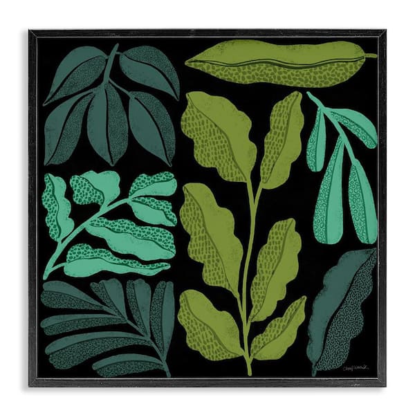 Stupell Industries Plant Sprig Collage by Cheryl Warrick Black Framed Nature Giclee Art Print 24 in. x 24 in.