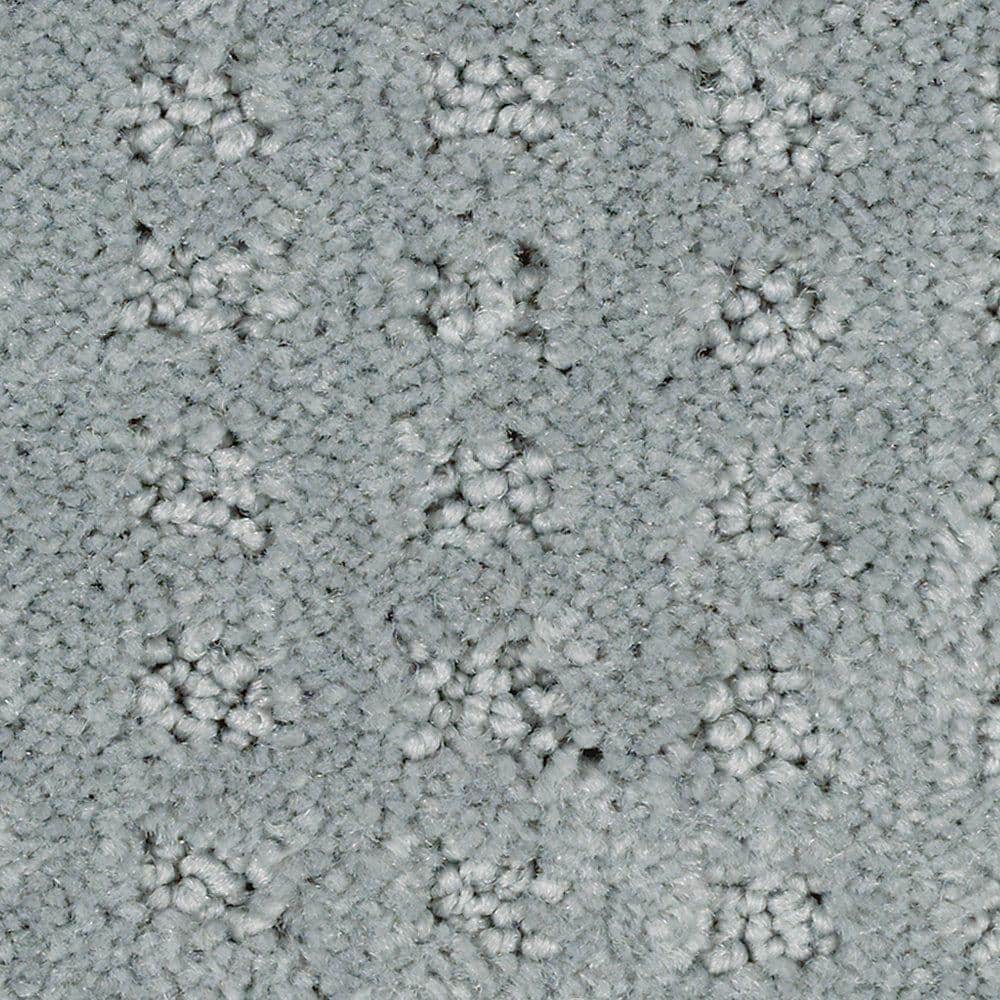 8 in. x 8 in. Texture Carpet Sample - Canter -Color Elemental price history on PriceWatchPro