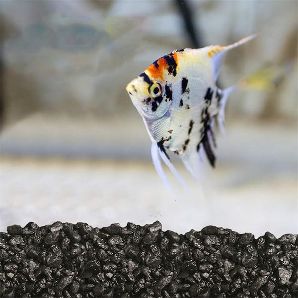 0.1 Cu. ft. Gray Small Gravel 5 lbs. 1/5 in. Size Landscape Rocks