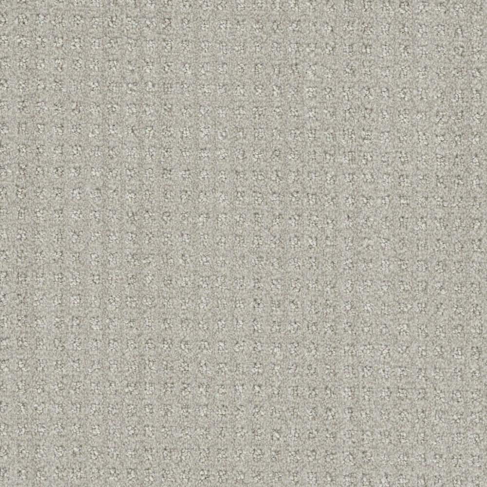 8 in. x  8 in. Pattern Carpet Sample - Dovetail -Color Beam price history on PriceWatchPro