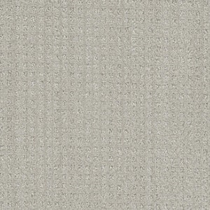 8 in. x 8 in. Pattern Carpet Sample - Dovetail -Color Beam