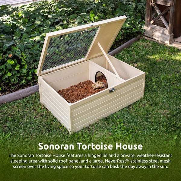 New Age Pet ECOFLEX Sonoran Tortoise Reptile House EHRTT18-00