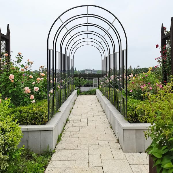 Unbranded - Black Series Outside Dimensions: 85.83 in. x 42.24 in. Iron Gothic Arbor, Arbor