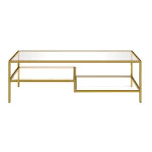 Mariana 54 in. Rectangle Glass Gold Coffee Table with Shelves and Storage