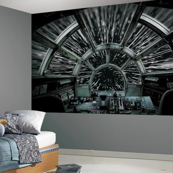 Star Wars Millennium Falcon Black, Grey Vinyl Peelable Roll (Covers 63 sq. ft.)