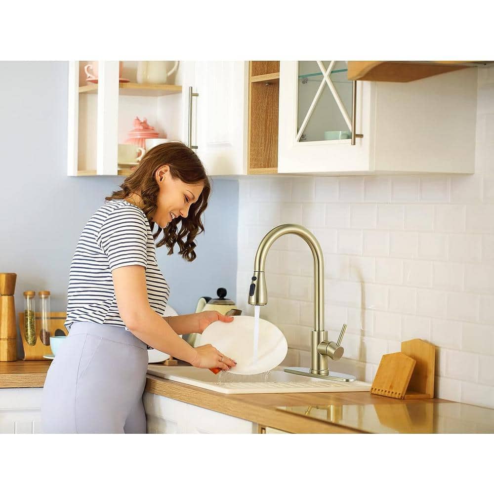 Brushed Gold Stainless Steel Pull-Down Kitchen Faucet