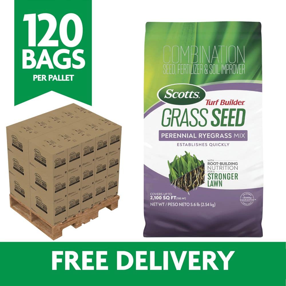 Scotts Grass Seed Home Depotnull