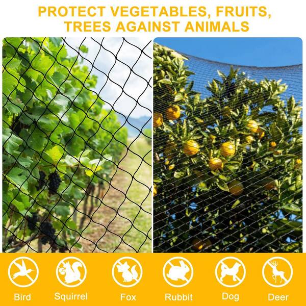 Pinnon Hatch Farms Poultry Netting - 50' X 150' Extra Heavy Knotted 2" Mesh - Hawk Stop Chicken Net