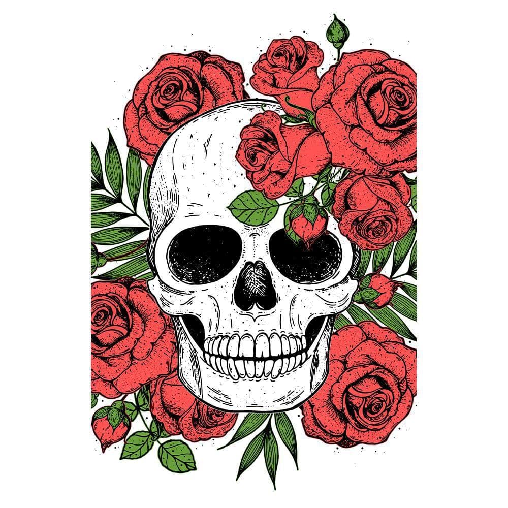 Skull with Roses Around by Unknown 1 Piece Unframed Canvas Drawing Print 20 in. x 30 in. price history on PriceWatchPro