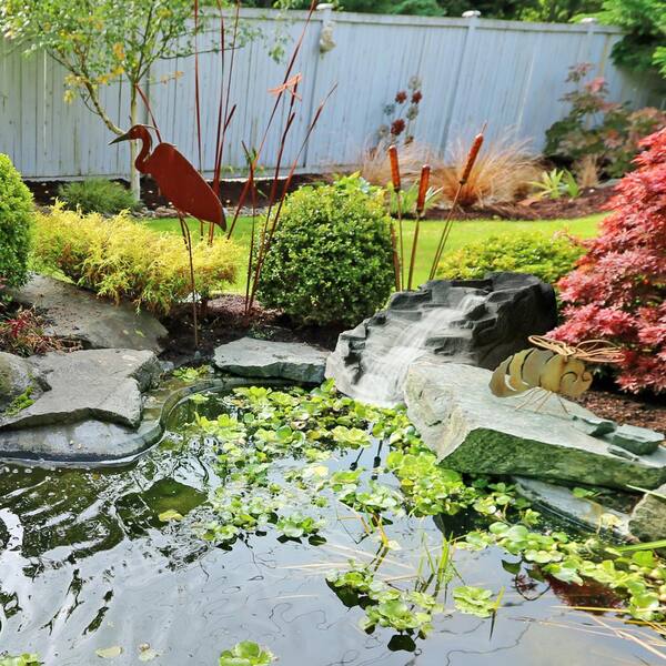 【美品】Waterfall 6 - Food (Paperback) Superfood Kitchen: Cooking with Nature's Most Amazing Foods
