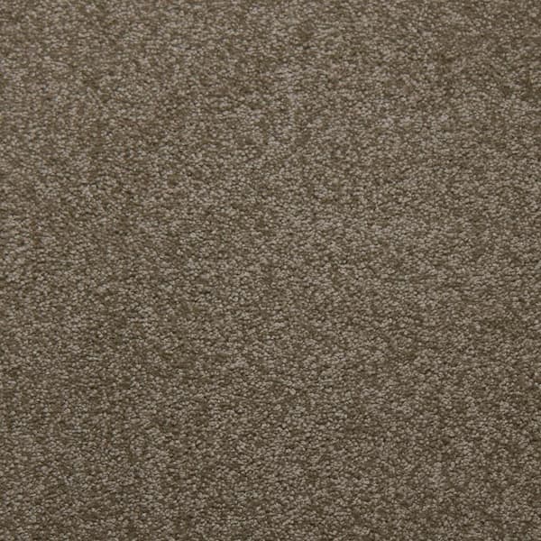 Home Decorators Collection Sweet Dreams II - Suede - Beige 68 oz. SD Polyester Texture Installed Carpet