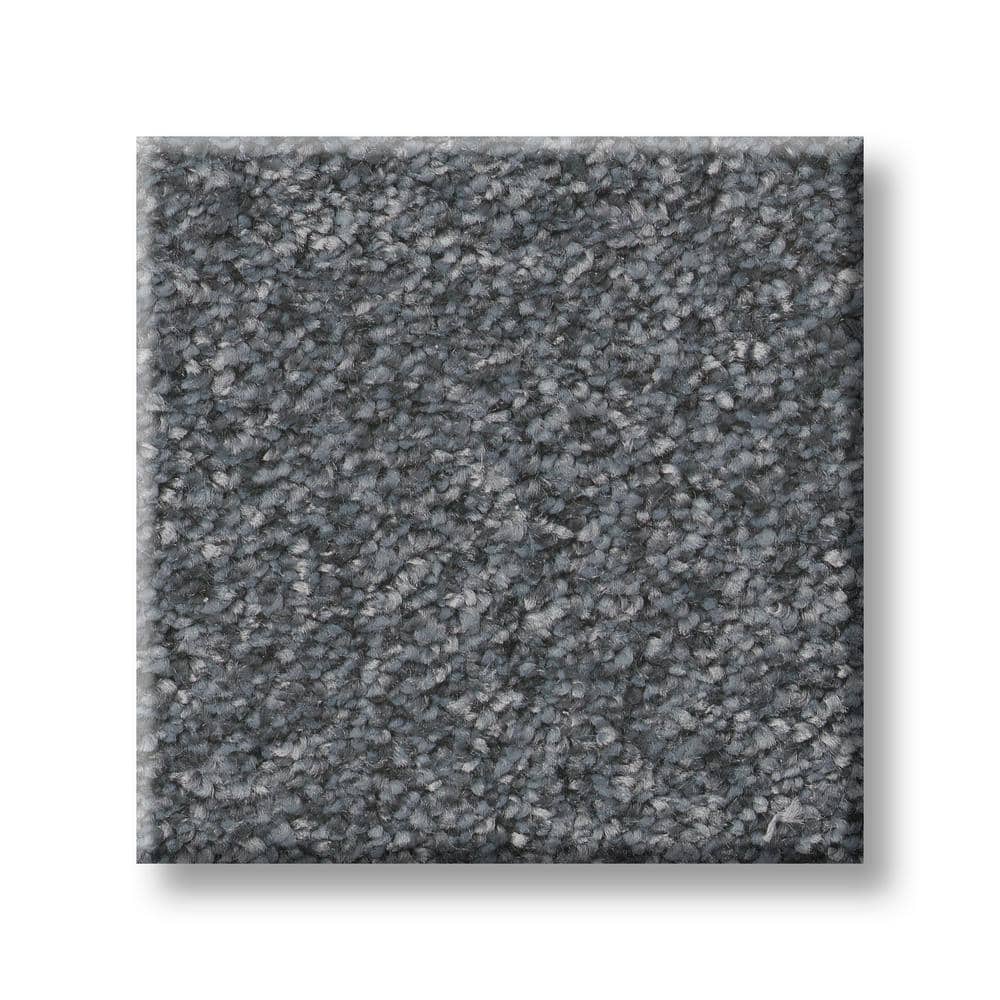 8 in. x 8 in. Texture Carpet Sample - Rosemary I -Color Deco price history on PriceWatchPro