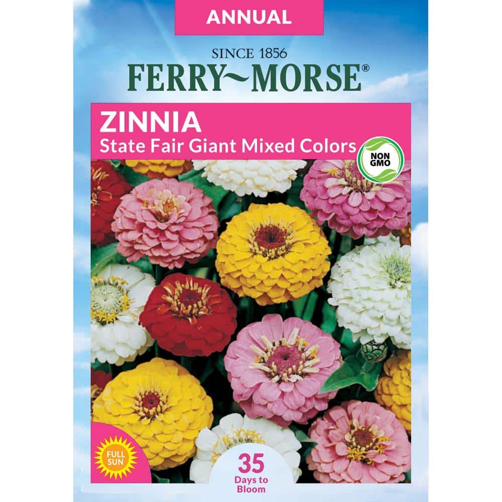 Ferry-Morse Zinnia State Fair Giant Mixed Colors Flower Seed 2766