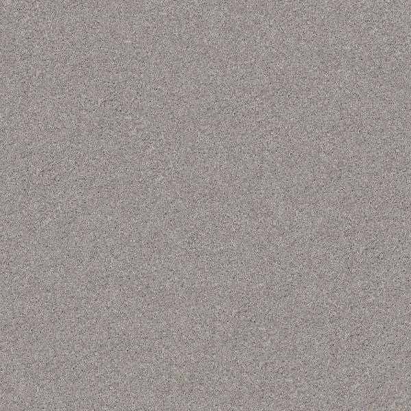Home Decorators Collection Cherry On Top II Seagull Gray 56 oz. Solution Dyed Polyester Texture Installed Carpet
