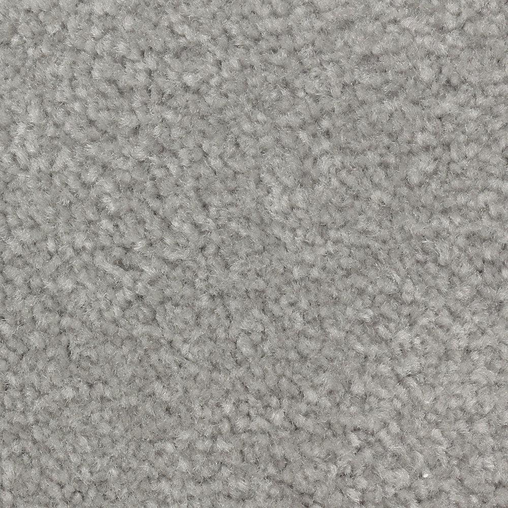 8 in. x 8 in. Texture Carpet Sample - Mason II -Color Manatee price history on PriceWatchPro