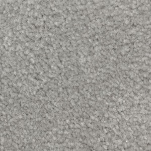 Mason II  - Manatee - Green 54 oz. Triexta Texture Installed Carpet