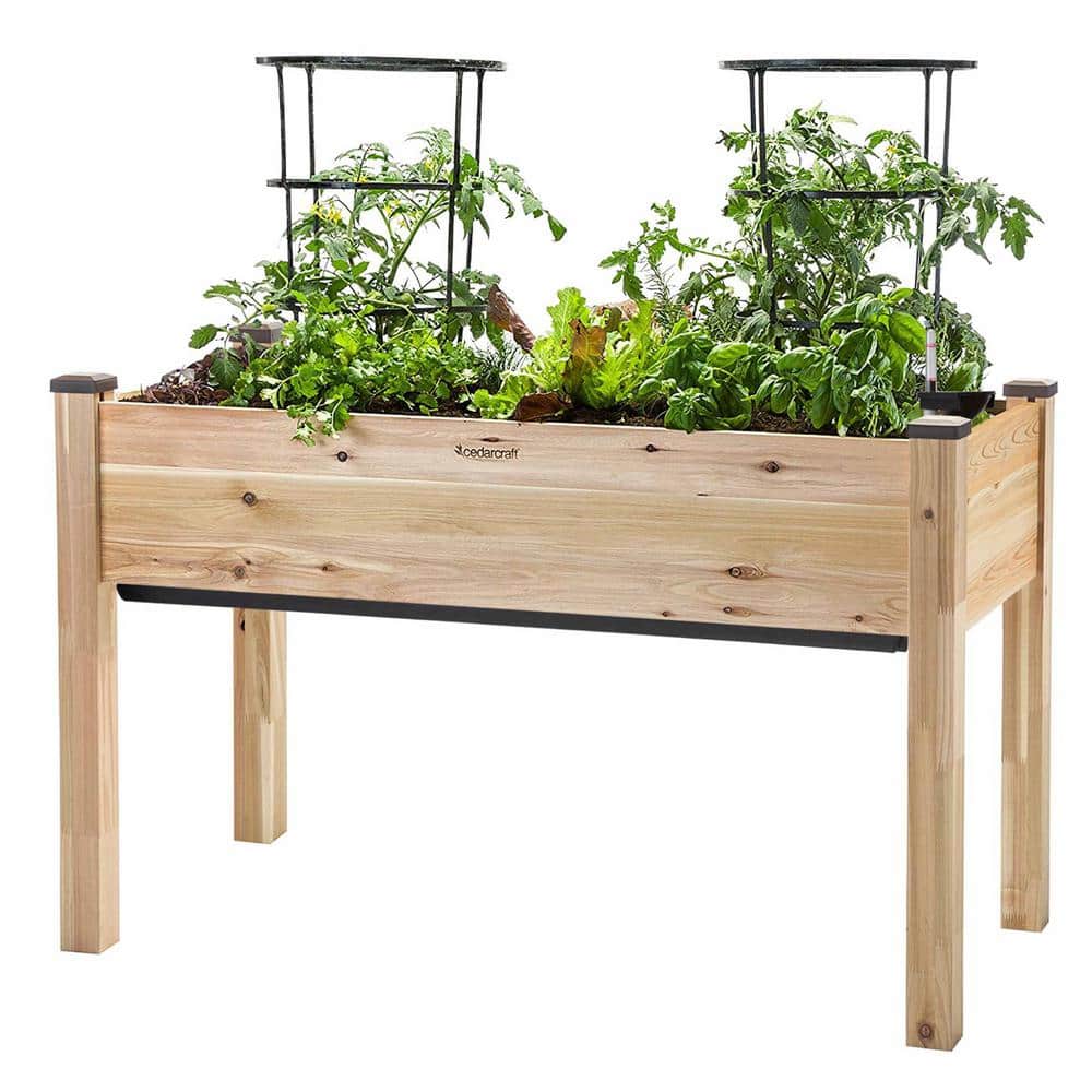 Large Natural Cedar Self-Watering Elevated Planter