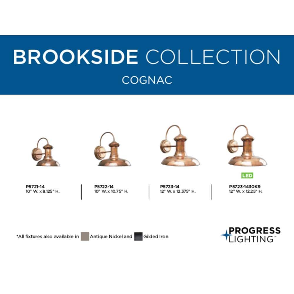 Copper Dimmable Vintage Lantern Wall Sconce
