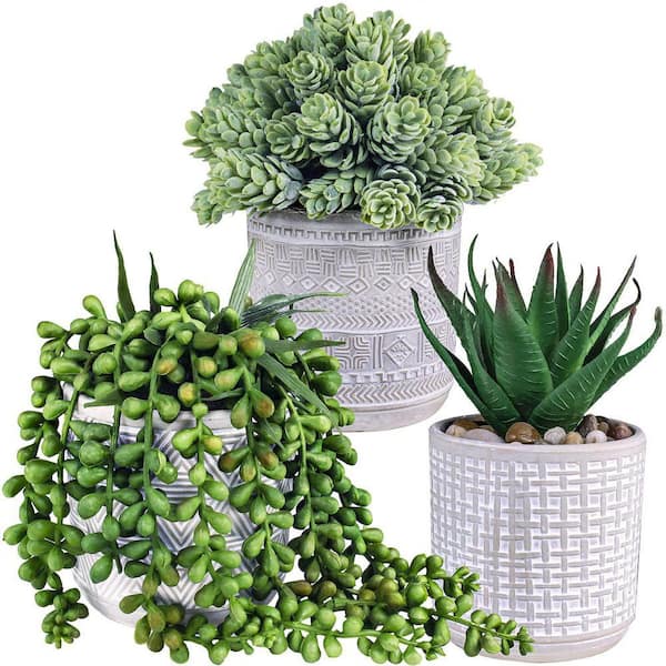 Unbranded Set of 3 Small 6.7 in. 8.2 in. Tall Gray Indoor/Outdoor  Artificial Succulent Plants in Concrete Pots SA1059B229
