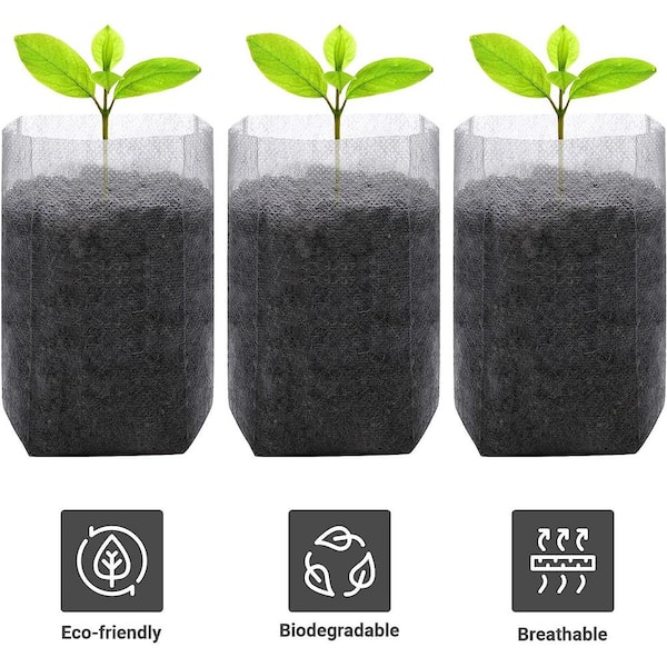 Agfabric Fabric Raised Garden Bed Square Plant Grow Bags Rectangular  Planting Container 8 Grids Black 128 gal 1PCS GB0306P1G128B - The Home Depot