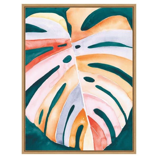 Amanti Art Multicolor Monstera by Jennifer Paxton Parker 1 Piece Floater Frame Canvas Giclee Abstract Art Print 30 in. x 23 in. W