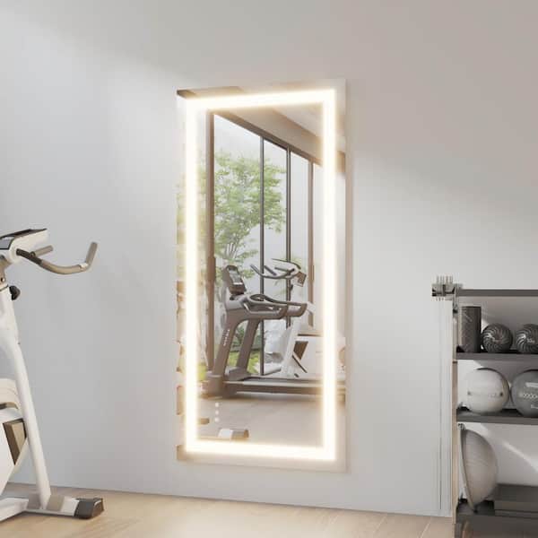 28 in. W x 60 in. H Wall-mounted Full-Length Mirror LED Light Dresser Mirror