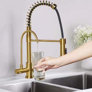 Double Handles Solid Brass Pull Down Sprayer Kitchen Faucet with Drinking Water Filter in Brushed Gold