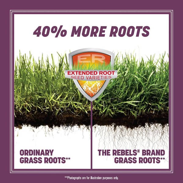 Pennington The Rebels 20 lb. 5,000 sq. ft. Shady Lawn Grass