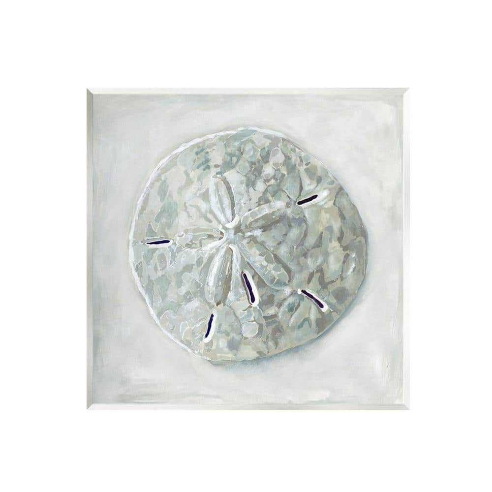 The Stupell Home Decor Collection Sand Dollar Seashell Design By Erica ...