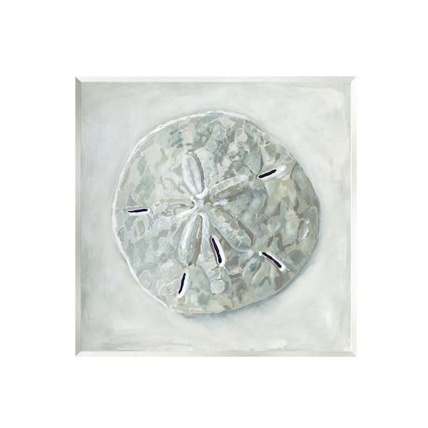 The Stupell Home Decor Collection Sand Dollar Seashell Design By Erica Christopher Unframed Nature Art Print 12 in. x 12 in.