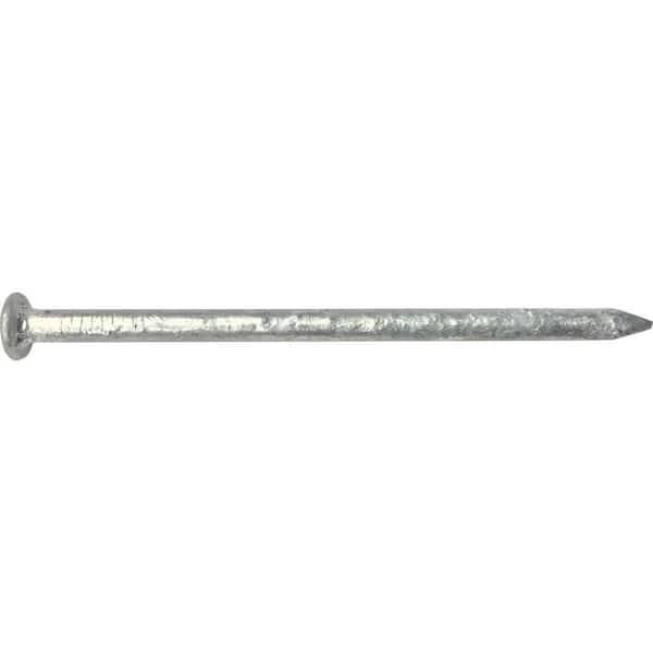 3-1/2 in. x 16D Hot Galvanized Common 50 lbs. Box