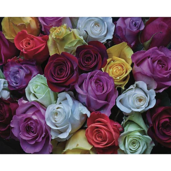 Hart Puzzles Palette of Roses Puzzle by William Carr