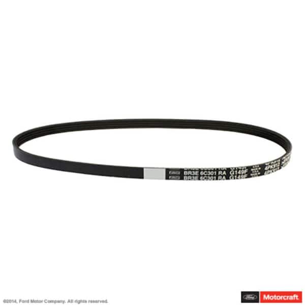 Serpentine Belt