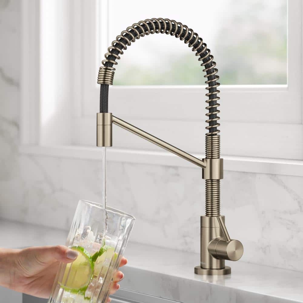 Bolden Antique Bronze Single Handle Filter Faucet with Pull-out Spray