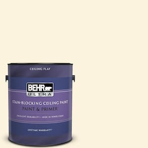 1 gal. #M290-1 Thickened Cream Ceiling Flat Interior Paint and Primer