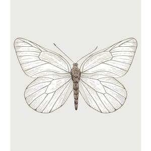 White Butterfly Tapestry Wall Decor Product Type