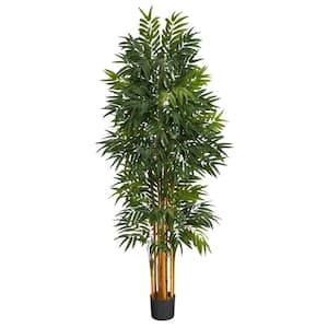 5.5 ft. Phoenix Artificial Palm tree with Natural Trunk