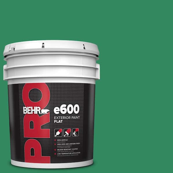 BEHR PRO 5 gal. #P420-6 Exquisite Emerald Flat Exterior Paint
