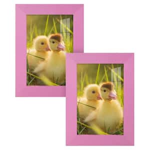 Grooved 4 in. x 6 in. Pink Picture Frame (Set of 2)