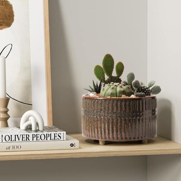 large artificial house plants Artificial Potted Zebra Plant | Large Faux Plants main image 0