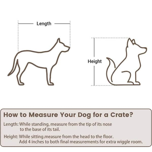 Measuring Your Dog For A Crate 