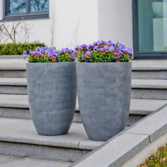 multi planter pot The Sill Best Sellers Duo Houseplants, Medium in Black