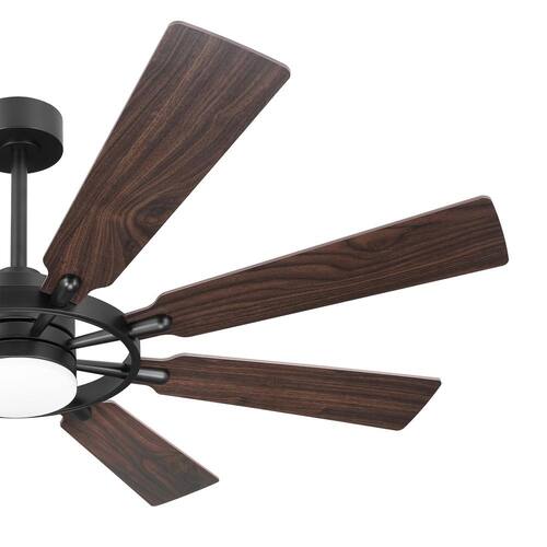 60 in. (5 ft.) 8 Blades LED Indoor Black and Dark Walnut Ceiling Fan with Remote Ceiling Fans With Lights