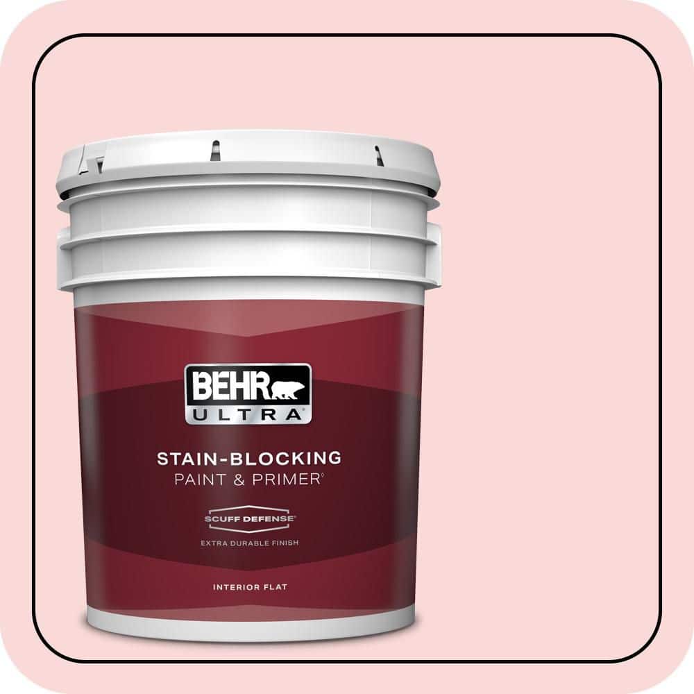 5 gal. #140A-2 Coy Pink Extra Durable Flat Interior Paint & Primer price history on PriceWatchPro