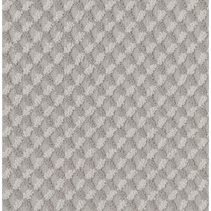 Exquisite - Frosty Morn - Beige 39.3 oz. Nylon Pattern Installed Carpet
