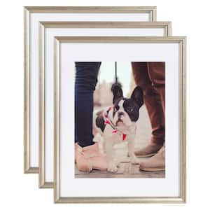 Adlynn 14 in. x 18 in. matted to 11 in. x 14 in. Silver Picture Frames (Set of 3)