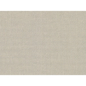 Wanchai Grey Grasscloth Peelable Roll (Covers 72 sq. ft.)